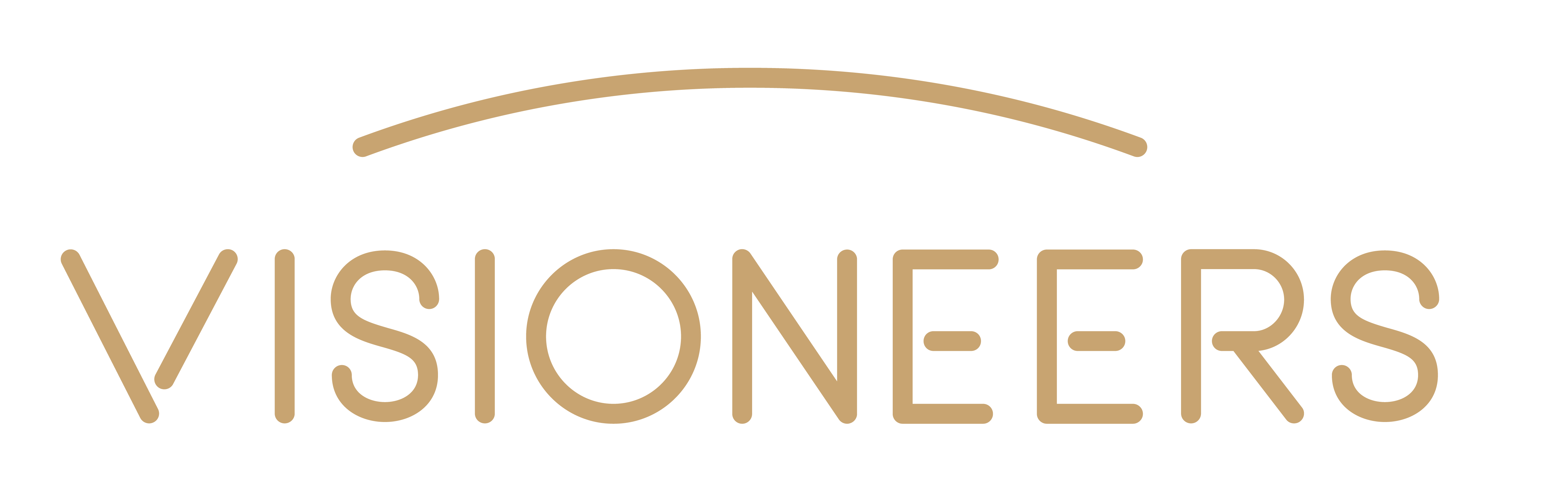 Visioneers
